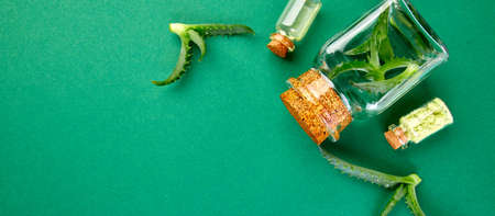 Banner of Aloe vera oil in glass on green background. Star cactus, Aloin, Jafferabad, Aloe barbadensis, Barbados herbal medicine for skin treatment and care. Top view, flat layの写真素材