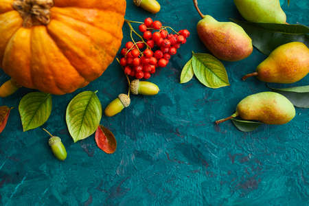 Festive autumn decor from pumpkins, pears, leaves, acorns and berries on green background, autumn flat lay, fall composition, harvest, thanksgiving day.の写真素材