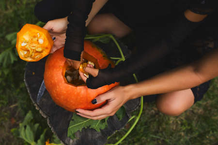 Daughter and mother hands who pulls seeds and fibrous material from a pumpkin before carving for Halloween, Prepares Jack o'Lantern. Decoration for party, Little family helper, Top view, close up, View from above, copy spaceの写真素材