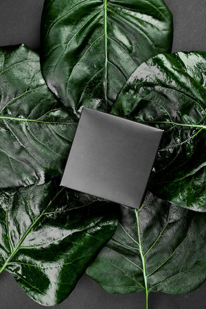 Mockup for black gift box a dark background with green leaves on the sides, creative layout, flat lay, nature concept, space for text, top view.の写真素材