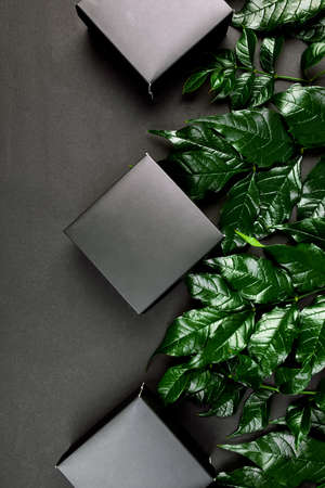 Mockup for black gift box a dark background with green leaves on the sides, creative layout, flat lay, nature concept, space for text, top view.の写真素材