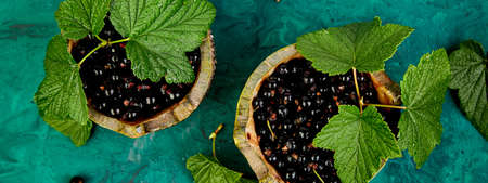 Banner of Blackcurrant berries with leaves, black currant in green bowls. Top view. Copy space. Flat lay.の写真素材