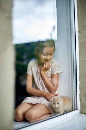 Child girl plays with a British little playful kitten at home window sill, The girl's hands caress and caress the cat, Funny redhead cat.の写真素材