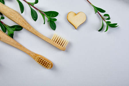 Bamboo toothbrushes, and green leaves on grey paper background, Eco-friendly, Zero waste personal...