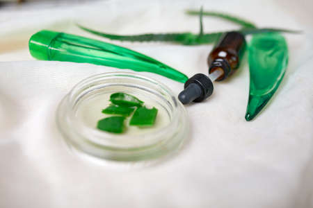 Flat lay of homemade skin care natural ingredients plant aloe vera gel, skinimalism, slow beauty on...