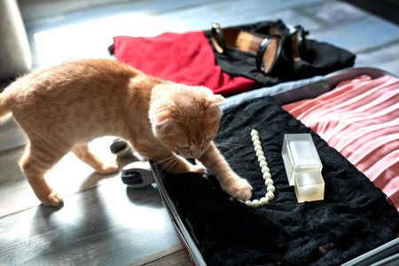 Packing suitcase at home with woman items, accessories in suitcase for travel, journey, vacation . Copy space.の写真素材