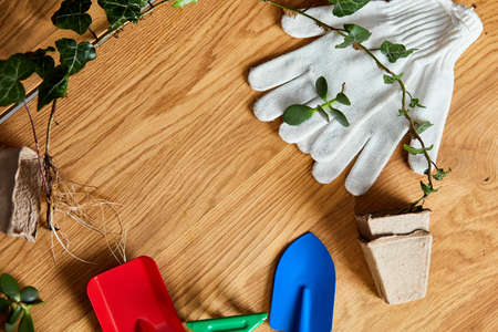 Flat lay of Gardening tools, eco flowerpot, greens on wooden background, Spring garden works concept, Layout with free text space from above.の写真素材