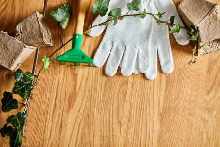 Flat lay of Gardening tools, eco flowerpot, greens on wooden background, Spring garden works concept, Layout with free text space from above.の写真素材