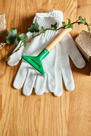 Flat lay of Gardening tools, eco flowerpot, greens on wooden background, Spring garden works concept, Layout with free text space from above.の写真素材