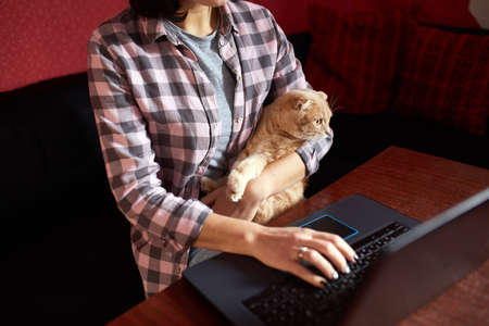 Woman wear comfy style is working on a black notebook, laptop and cat is laying on her lap, Work from home, Stay home, Coronavirus quarantine, Homework, freelance.の写真素材