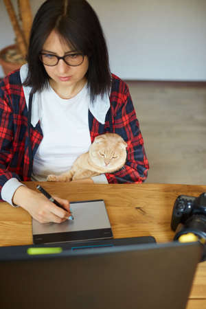 Big ostriches at farm field behind a wooden fence, Domestic animals outdoors, Ecological farming concept.の写真素材