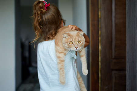 Little girl holding cat in her arms at home indoor, Child playing with domestic animals pet, lovely friend.の写真素材