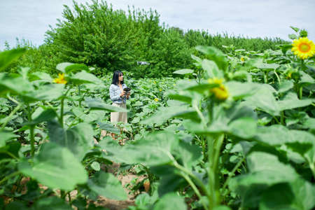 Young woman learning how to pilot her drone in, female using, piloting, fly drone on field of...