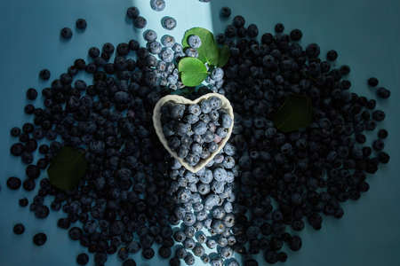 Flat lay of fresh organic juicy blueberries on blue background, hard sun light, top view, copy...