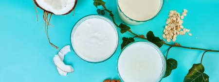 Banner of Various vegan plant based milk and ingredients, non-dairy milk, alternative types of vegan milks in glasses on a blue background , flat lay, top view with copy spaceの写真素材