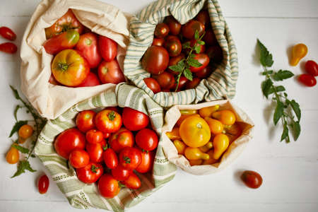 Market delivary of Different kinds of tomatoes in eco textile bag, Zero waste, Eco background, Assortment of tomatoes,  local farmers market, Fresh vegetables, harvest .Top view, copy space.の写真素材