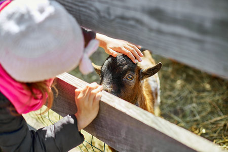 little girl scratches the head of a goat, Animal care farm, Wildlife and ecology concept, Urban lifestyle relax, Hipster on vacation with farm animals.の写真素材