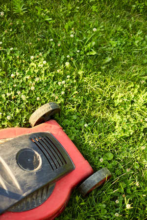 Lawnmower mows the lawn at home garden, working, sunlight, great design for any purposes, gardening conceptの写真素材