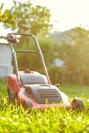 Lawnmower mows the lawn at home garden, working, sunlight, great design for any purposes, gardening...