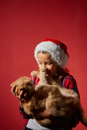 Happy little Girl in Santa Hat with joyfu funnyl cat in hand, smiling child on isolated red studio background, Christmasの写真素材