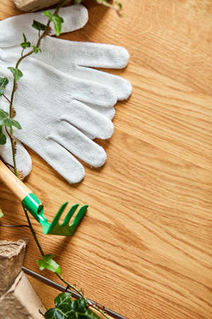Flat lay of Gardening tools, eco flowerpot, greens on wooden background, Spring garden works concept, Layout with free text space from above.の写真素材