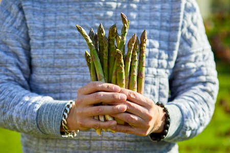 Man holding a bunch of green asparagus in his hands outdoor, Spears of Fresh green asparagus in the sun, copy space for text. Harvest, ready to cook, healthy vegan diet, local food.の写真素材