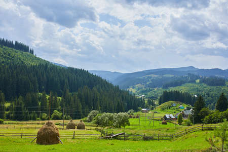 Beautiful mountain and forest in spring, Carpathian mountains, Ukraine, Colorful landscape with...