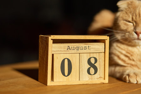 World Cat Day, 8 August on wooden calendar with ginger cat sitting on the table at home.の写真素材