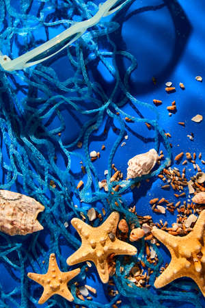 Flat lay background with starfish, seashells on blue water texture with sunlight, summer vacation...