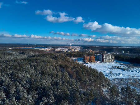 Frosty sunny winter landscape in snowy pine forest,の写真素材