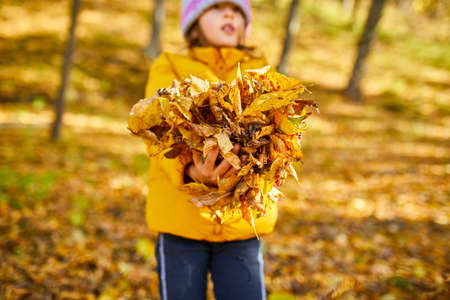 Happy adorable child girl laughing and playing yellow fallen leaves in autumn outdoors, Happy momentの写真素材