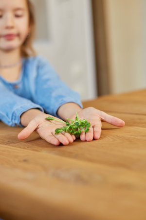 Little girl hold in hand microgreen, healthy food concept. Home gardening and growing greenery.の写真素材