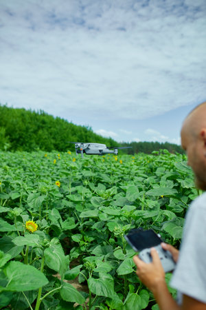 Man learning how to pilot her drone in, male using, piloting, fly drone on field of sunflowers, summer, agriculture.の写真素材