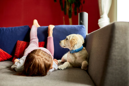 Happy teenage girl lying on sofa and embracing her puppy golden retriever pet, Love domestic animals, Friends at homeの写真素材