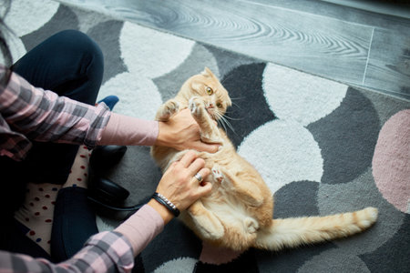 A person in a plaid shirt engages in a playful moment with a happy ginger cat lying on its back.