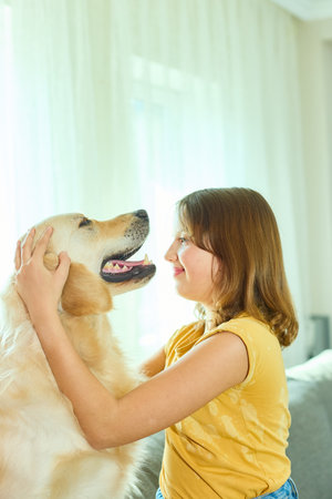 In a cozy living room filled with natural light, a young girl joyfully interacts with her golden retriever. The bond between them shines through as they share a playful moment.の写真素材