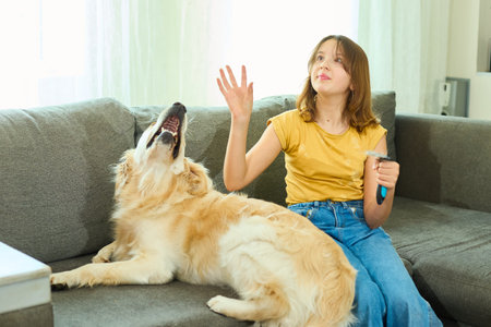 A young girl with brown hair gently brushes her golden retriever on a cozy gray couch in a well-lit living room, enjoying a warm afternoon together.の写真素材