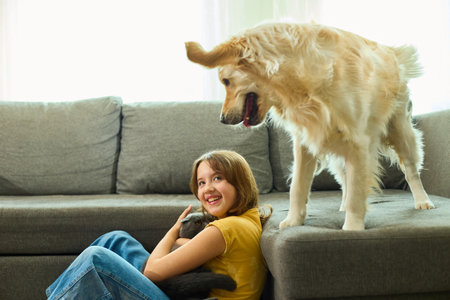 A cheerful teen girl sits on the floor, smiling while holding a cat, as a friendly dog Golden retriever stands nearby on the couch. Sunlight streams through the window, creating a warm atmosphere.の写真素材