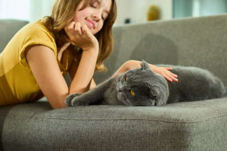 Teen girl interacts with a playful Scottish Fold cat at home on a cozy couch during the afternoonの写真素材