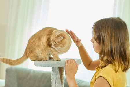 Teen girl interacts with her Scottish Fold cat at home, enjoying playful moments and bonding timeの写真素材