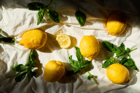 Bright yellow lemons and fresh basil leaves create a vibrant summer arrangement in Italyの写真素材