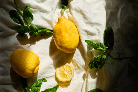 Bright yellow lemons and fresh basil leaves create a vibrant summer arrangementの写真素材