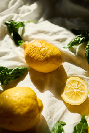 A collection of fresh lemons and vibrant basil leaves is artistically arranged on a light fabric background, showing the essence of summer in Italy, highlighting their natural beauty.の写真素材