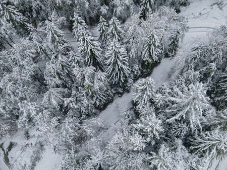 Aerial drone view idyllic winter landscape. Street running through the nature from a birds eye view.の写真素材