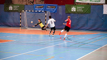 action, active, activity, arena, ball, boy, championship, child, children, coach, competition, cup, field, fight, fighter, foot, football, futsal, game, goal, hall, indoor, indoors, junior, kick, kidsのeditorial素材