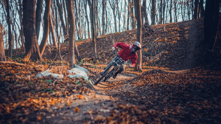 Riding on mtb bikes, downhill bikes in autumn forest on bike trails wish tricks and huge gaps and...