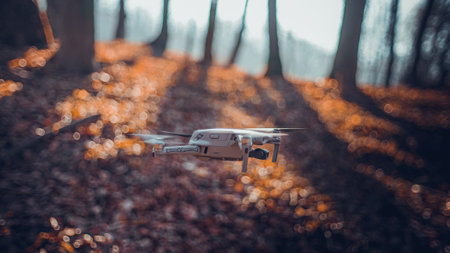 mavic air 2 on the air in autumn forestのeditorial素材