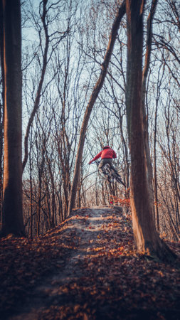 Riding on mtb bikes, downhill bikes in autumn forest on bike trails wish tricks and huge gaps and jumpsのeditorial素材