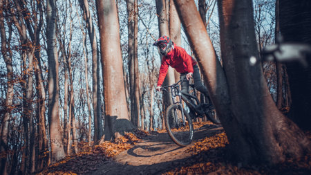 Riding on mtb bikes, downhill bikes in autumn forest on bike trails wish tricks and huge gaps and jumpsのeditorial素材