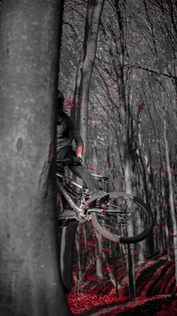 Riding on mtb bikes, downhill bikes in autumn forest on bike trails wish tricks and huge gaps and...